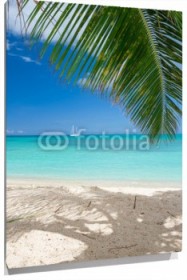 Lienzo Playa con hoja de palmera
